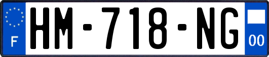 HM-718-NG