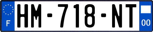 HM-718-NT