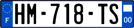 HM-718-TS