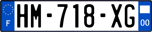HM-718-XG