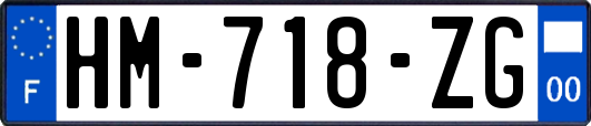HM-718-ZG