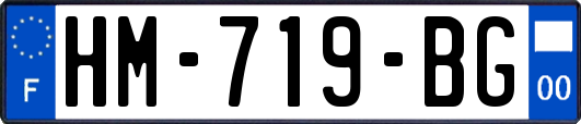 HM-719-BG