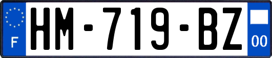 HM-719-BZ