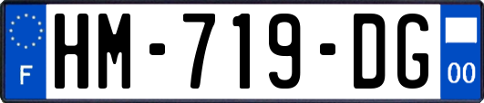 HM-719-DG
