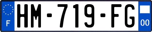 HM-719-FG