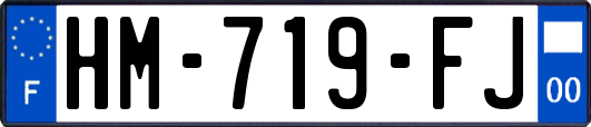 HM-719-FJ