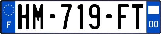 HM-719-FT