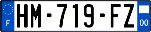 HM-719-FZ