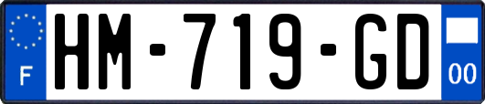 HM-719-GD
