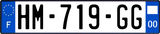 HM-719-GG