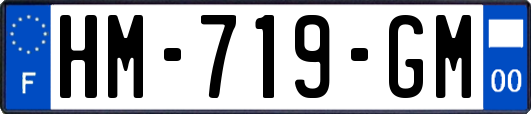 HM-719-GM