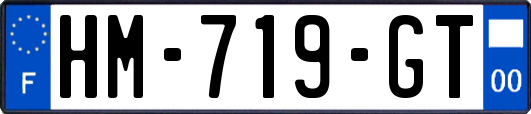 HM-719-GT