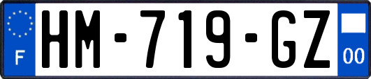 HM-719-GZ
