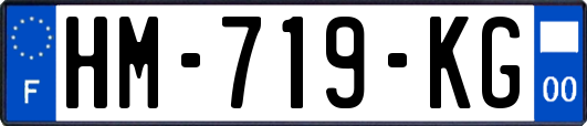 HM-719-KG
