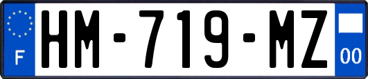 HM-719-MZ