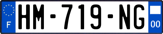 HM-719-NG