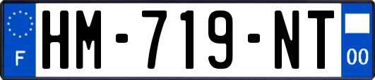 HM-719-NT