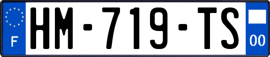 HM-719-TS