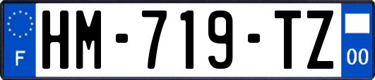 HM-719-TZ