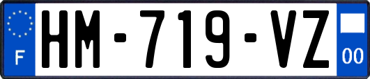 HM-719-VZ