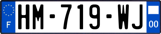 HM-719-WJ