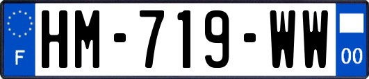 HM-719-WW