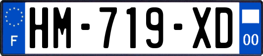 HM-719-XD