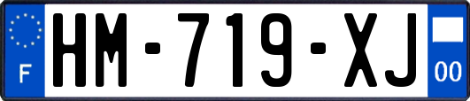 HM-719-XJ