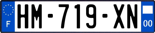HM-719-XN