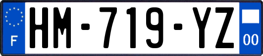 HM-719-YZ