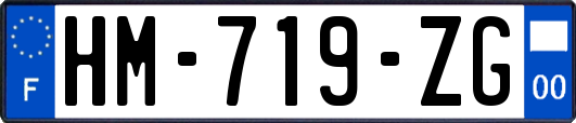 HM-719-ZG
