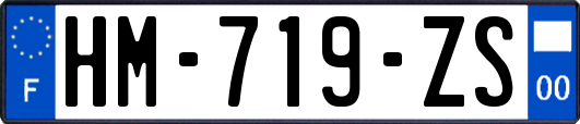 HM-719-ZS