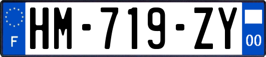 HM-719-ZY