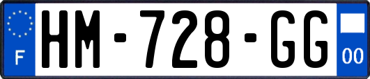 HM-728-GG