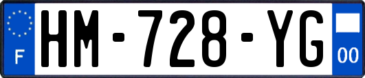 HM-728-YG