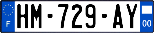 HM-729-AY