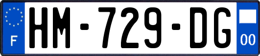 HM-729-DG