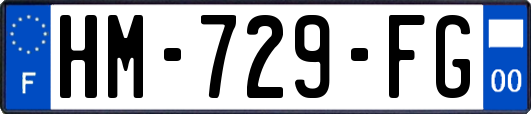 HM-729-FG