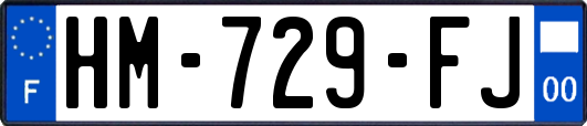 HM-729-FJ