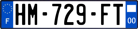 HM-729-FT