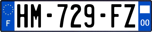 HM-729-FZ