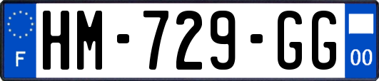 HM-729-GG