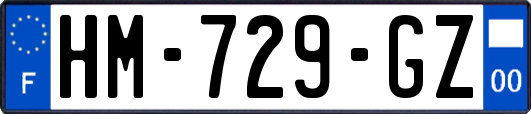 HM-729-GZ