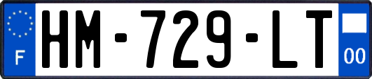 HM-729-LT