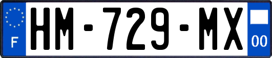 HM-729-MX