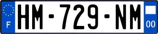 HM-729-NM