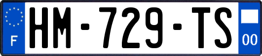 HM-729-TS