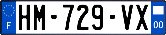 HM-729-VX