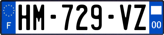 HM-729-VZ