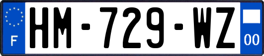 HM-729-WZ
